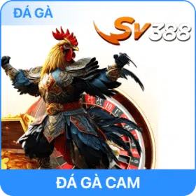 hình ảnh đá gà